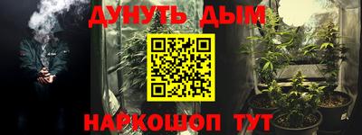 дурь Кингисепп