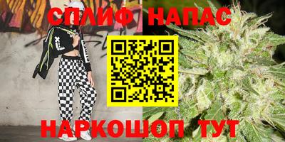 дурь Кингисепп