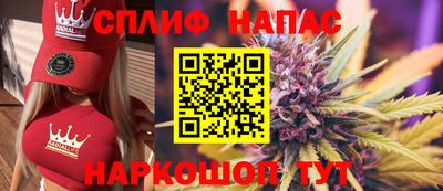 гидра Кинель