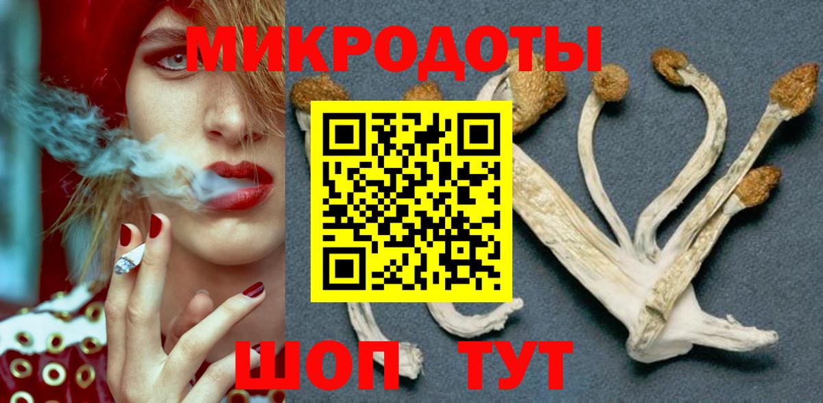 Псилоцибиновые грибы Magic Shrooms Кропоткин