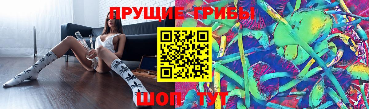 Псилоцибиновые грибы GOLDEN TEACHER  Галлюциногенные грибы Cubensis  Кропоткин  Вход с VPN 